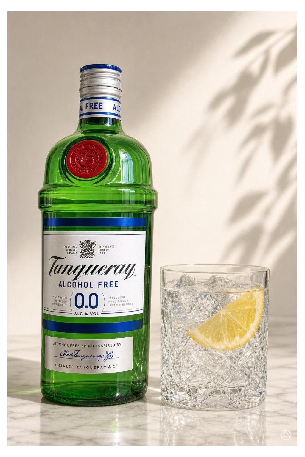 Alkoholfrei Gin-Tonic